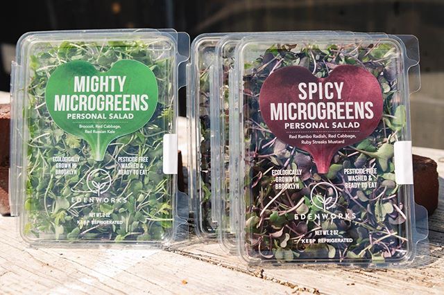 Another stunner by @badtzxo. Reminder that we'll be at Urban Outfitters @spaceninety8 tomorrow from 12-3 along with yoga and reiki by @soulganycyoga, indigo dying with @beezie_textiles, seed packs from @citygrowersnyc, and wild theory iced tea.