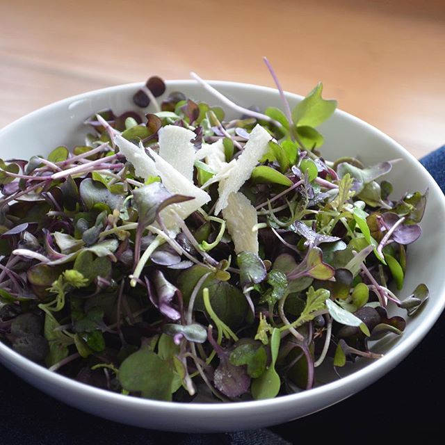 The spicy microgreens used in this salad are 15 days old. #localproducelastslonger #zerofoodwaste #localproduce #wholefoods #brooklyn #williamsburg #earthmonth #microgreens
